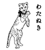 わたぬき