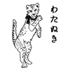 わたぬき
