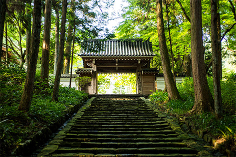 臨済宗 妙心寺 管長 祥福寺 河野太通 老師 一行 無心帰大道 共箱