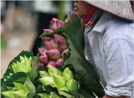 HANOI