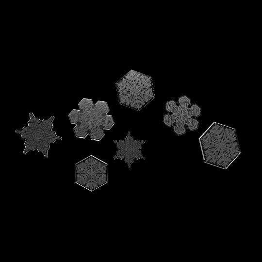 Snowflake Nail Polisher