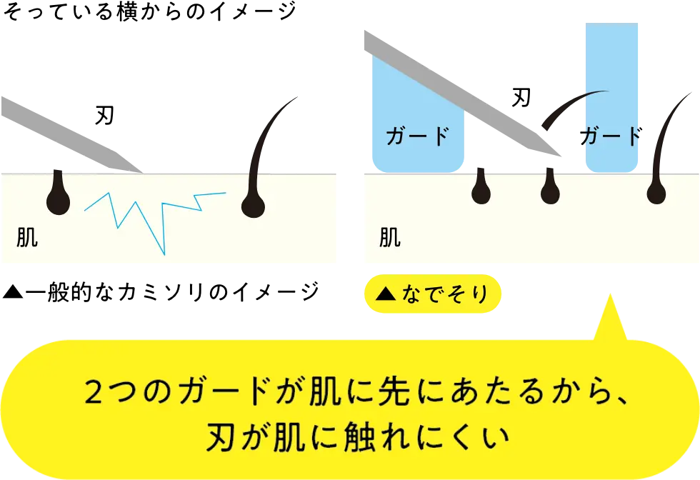 そっている横からのイメージ