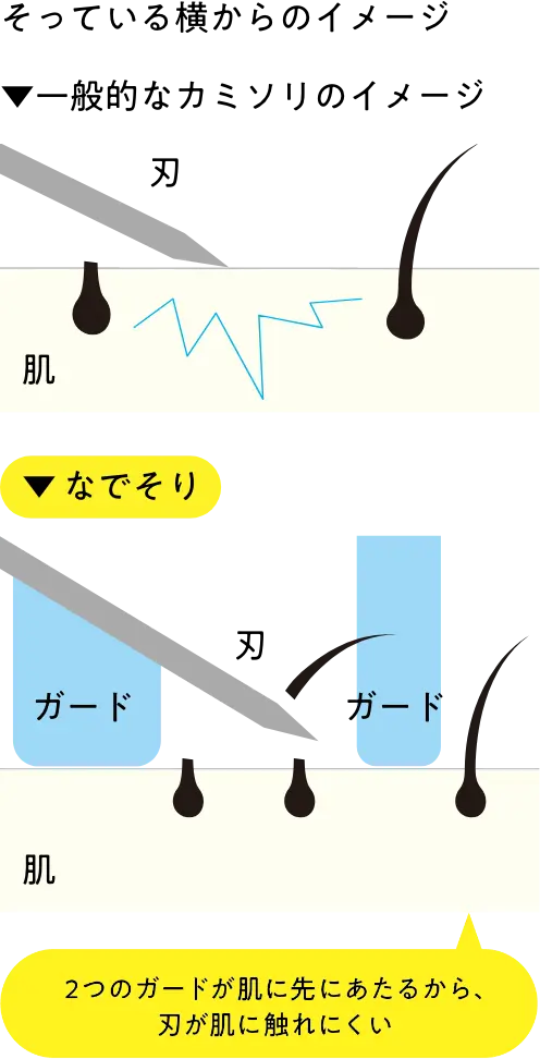 そっている横からのイメージ