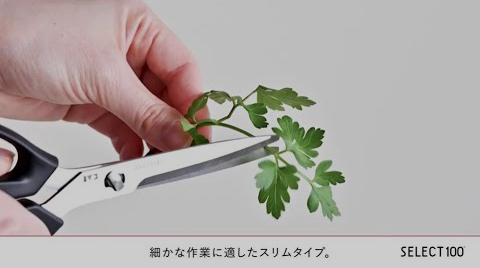 slim kitchen scissors