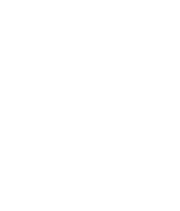 STEP03
