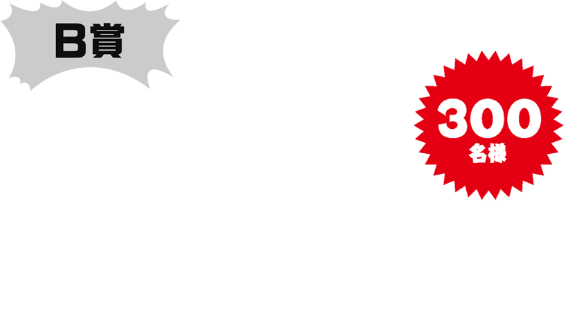 B賞 流星マーク 限定ピンバッジ 300名様