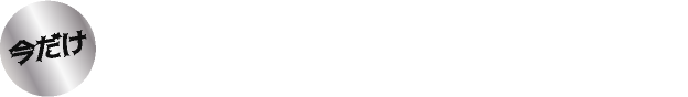 今だけ 限定デザインは替刃11個付き！