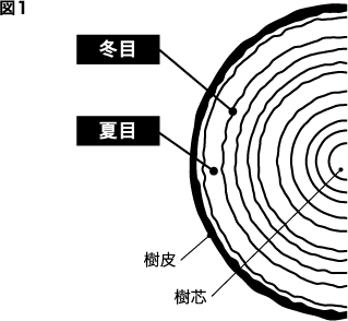 木製のまな板1