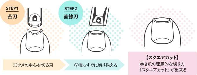 スクエアカット　巻き爪の理想的な切り方