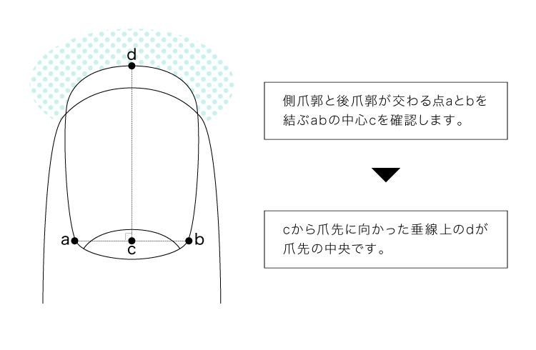 手と足の爪の正しい切り方1