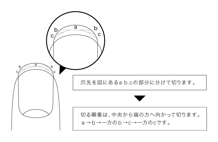 ツメキリの正しい使い方 貝印のツメキリポータルサイト