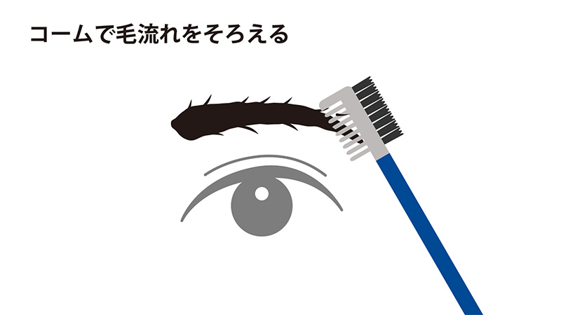 コームで毛流れをそろえる