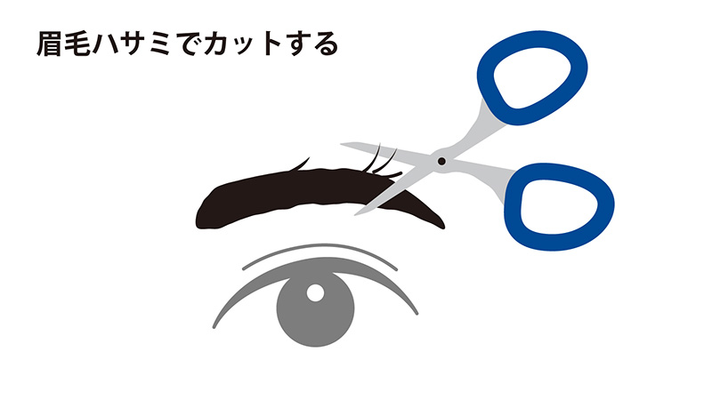 眉毛ハサミでカットする