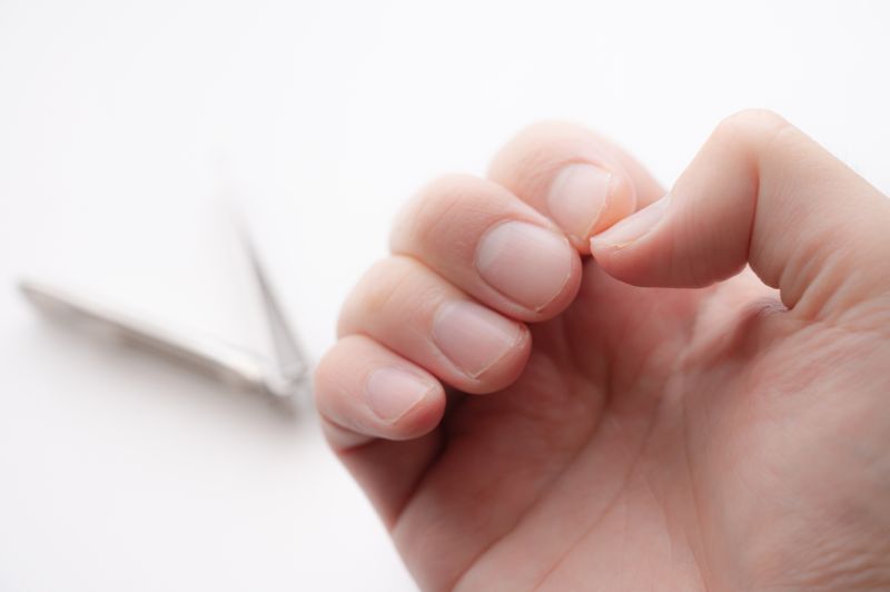爪切りの切れ味を回復させる方法