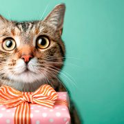 猫好きの方へのプレゼントにピッタリ！猫モチーフのおすすめアイテム15選