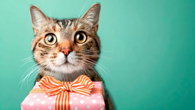 猫好きの方へのプレゼントにピッタリ！猫モチーフのおすすめアイテム15選