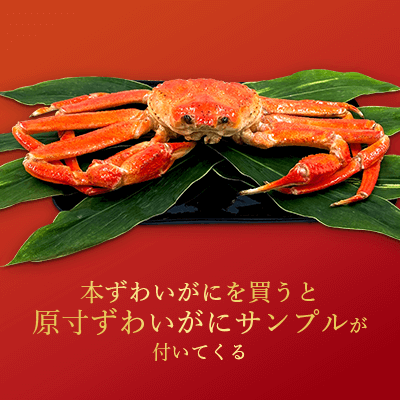 Amazon.co.jp: 日本職人が作る 食品サンプル ズワイガニ IP-385