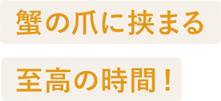 蟹の爪に挟まる至高の時間!