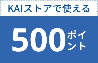 KAIストアで使える500ポイント